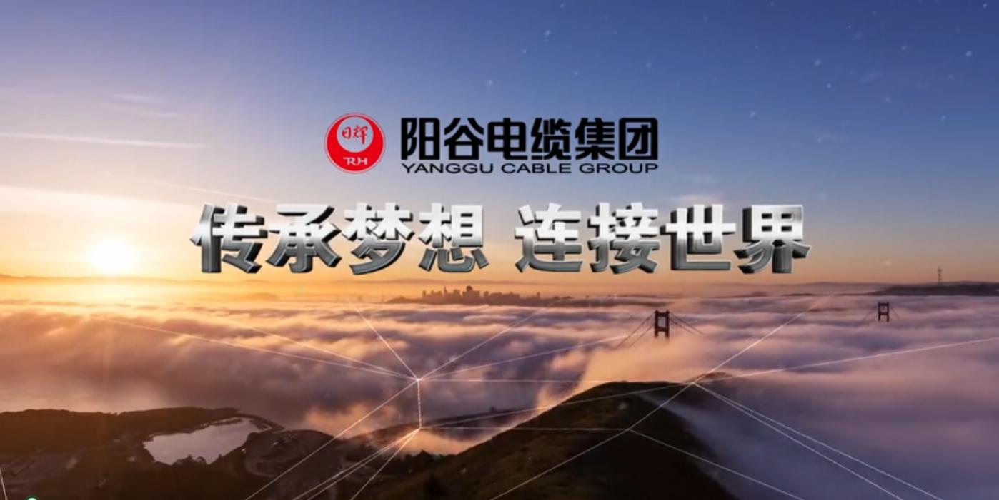 傳承夢想 連接世界 2024陽谷電纜集團宣傳視頻